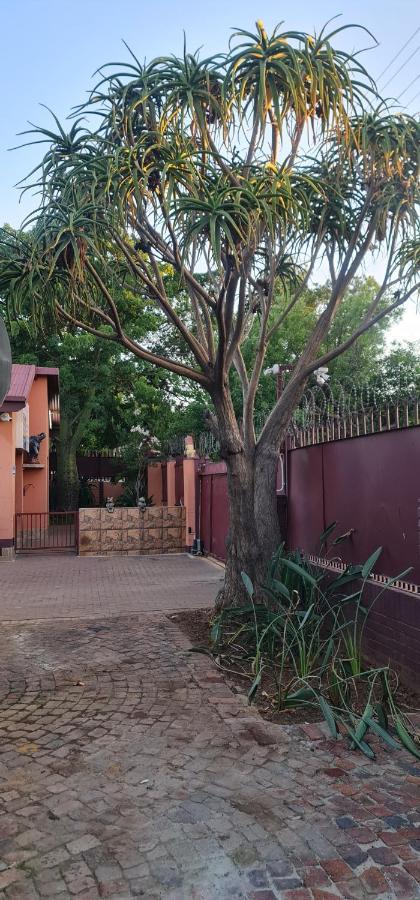 My House Guest House Pretoria-Noord エクステリア 写真