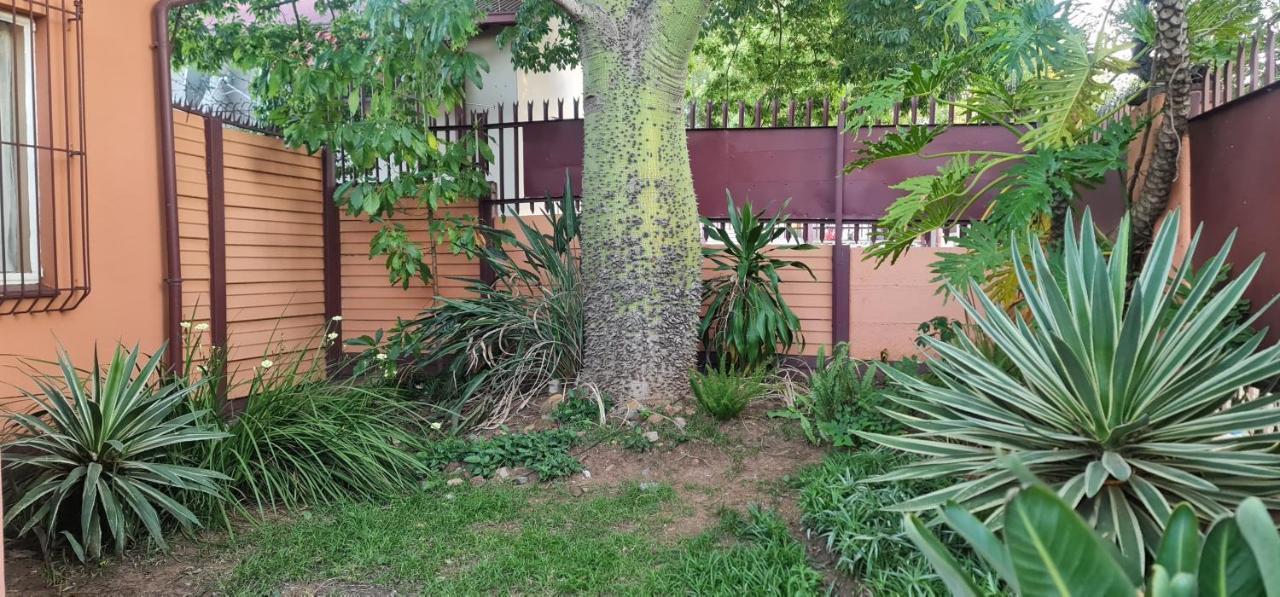 My House Guest House Pretoria-Noord エクステリア 写真