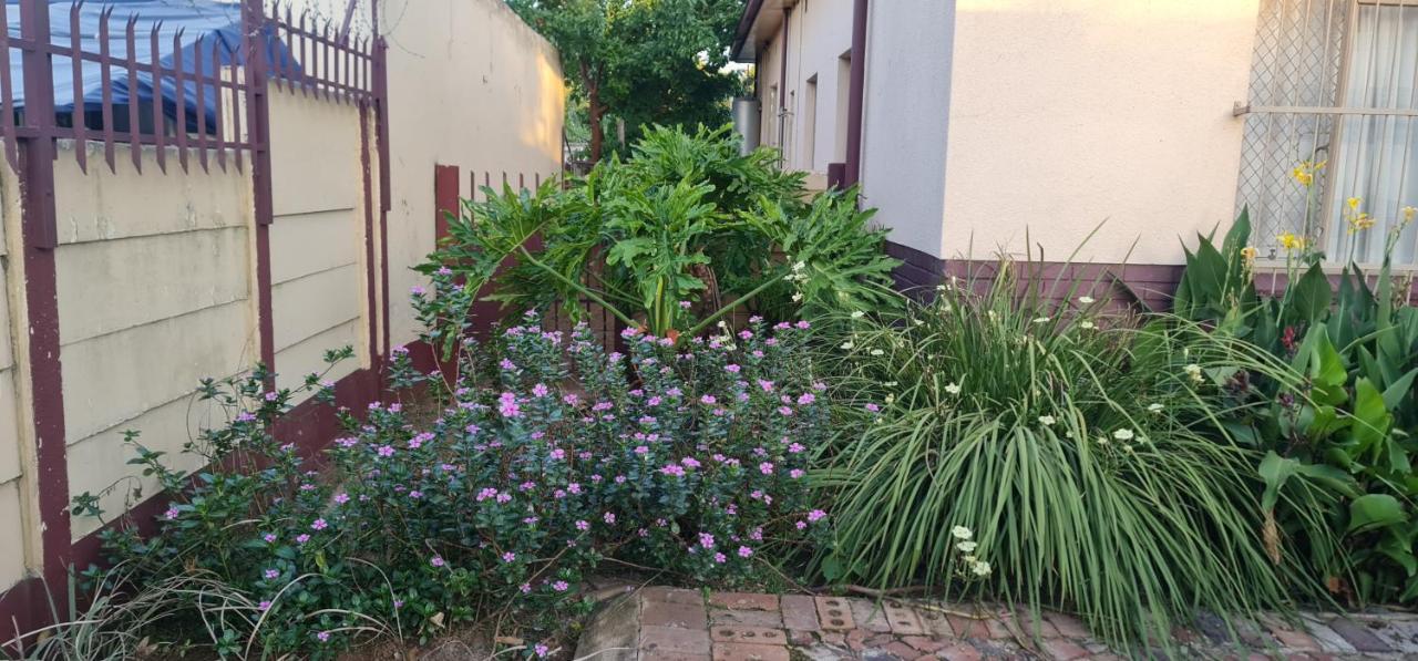 My House Guest House Pretoria-Noord エクステリア 写真