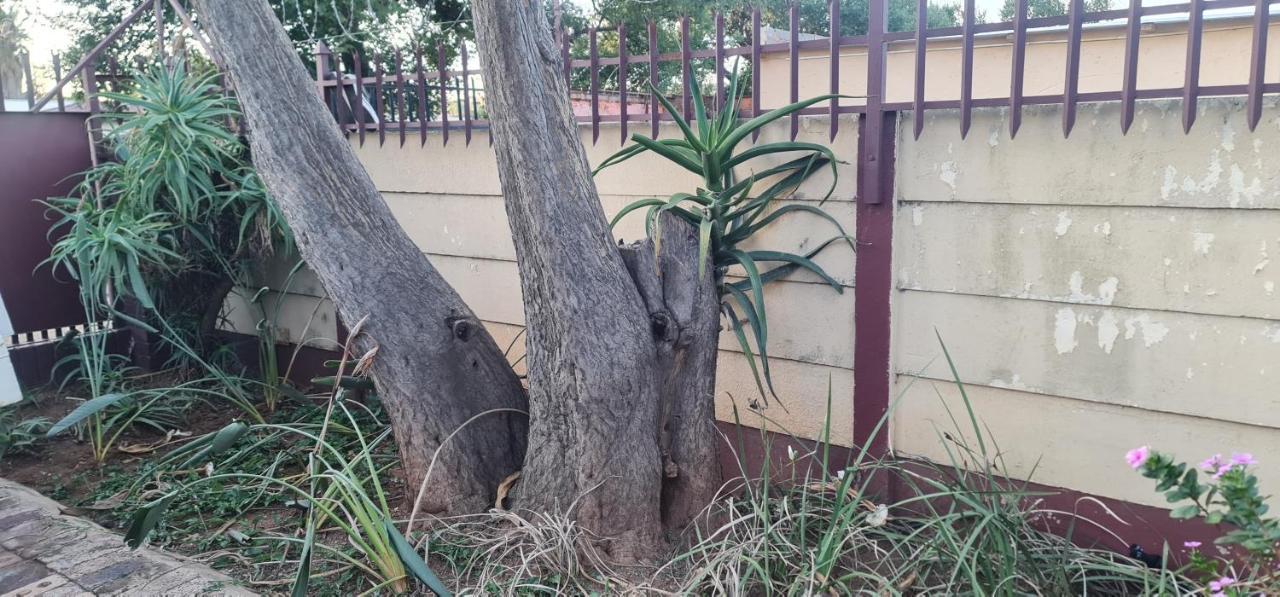 My House Guest House Pretoria-Noord エクステリア 写真