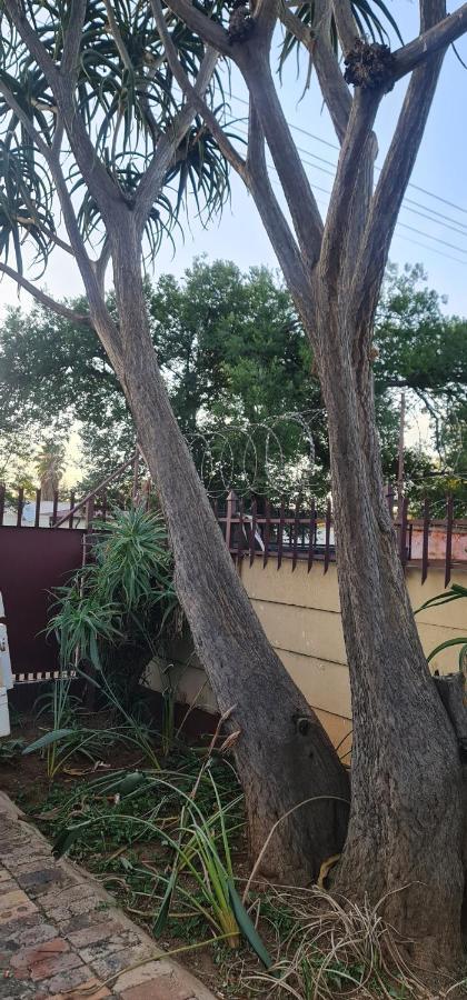 My House Guest House Pretoria-Noord エクステリア 写真