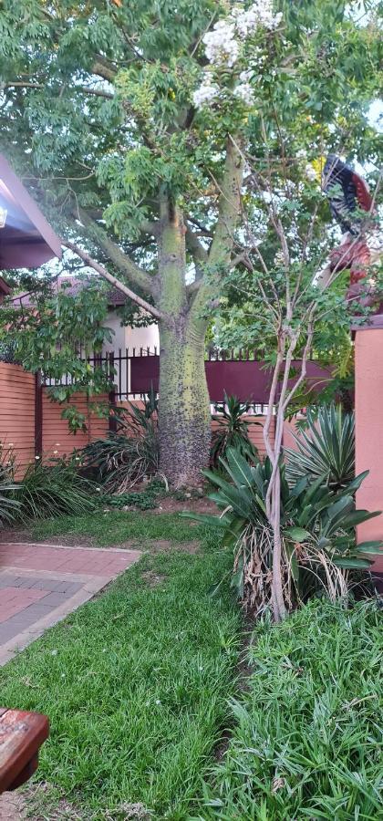 My House Guest House Pretoria-Noord エクステリア 写真