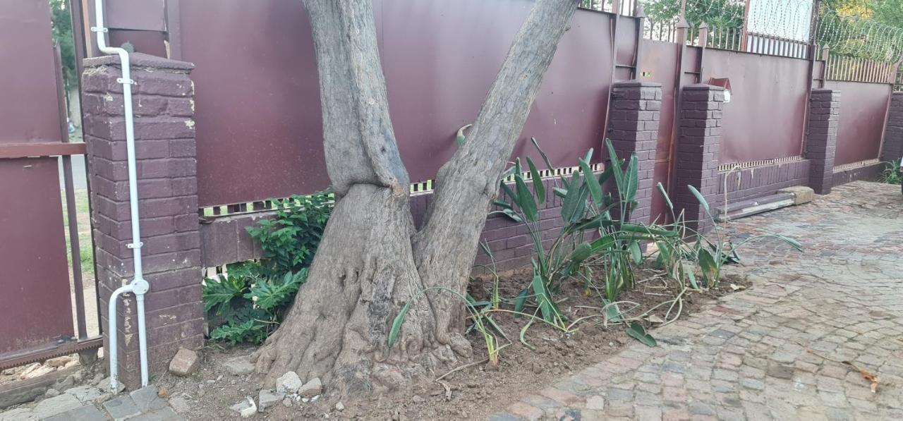 My House Guest House Pretoria-Noord エクステリア 写真